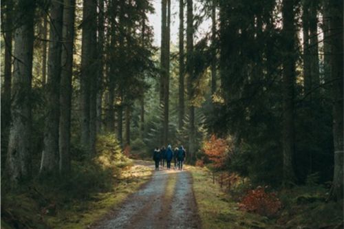 Engage Leadership Stages Engage Leadership Stages