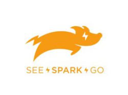 see_spark_go_logo